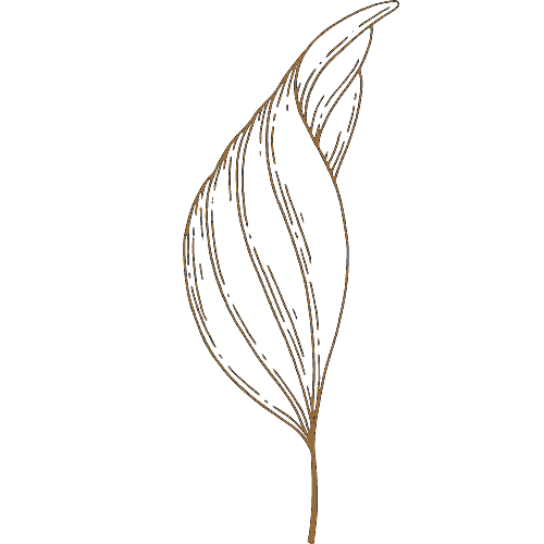 Logo Yoga light 2